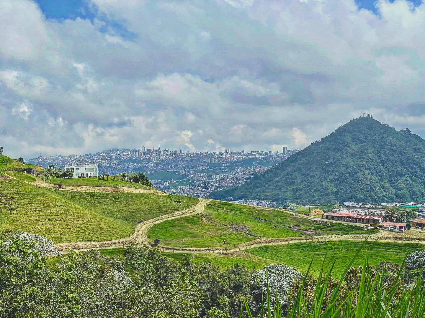 Manizales CO